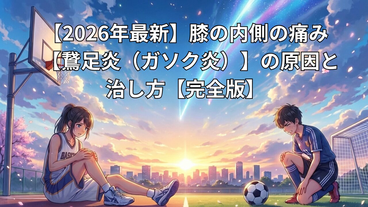 膝の内側の痛み「鵞足炎」の治し方